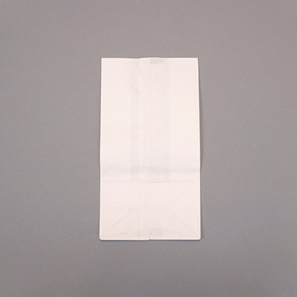 6 lb. White Kraft Paper Bakery Bags
